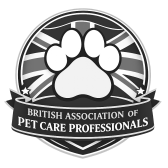 bapp platinum rated dog walking, pet sitting, home sitting