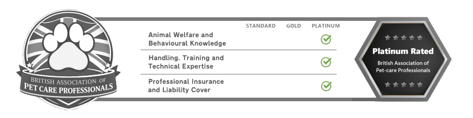 platinum awarded pet sitters, dog walkers and dog day carers