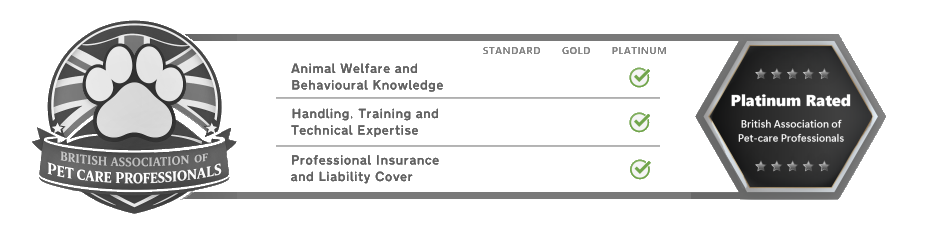 platinum awarded pet sitters, dog walkers and dog day carers
